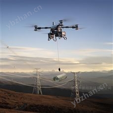 DJI FlyCart 100深圳大疆FC100工業級運載無人機代理商