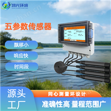 HG WCS S1000五參數傳感器