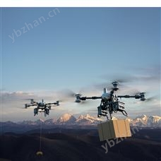 DJI FlyCart 100DJI FC100 運(yùn)載無(wú)人機(jī)-新品