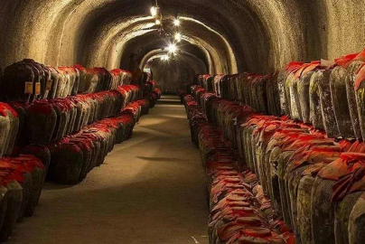 2人死亡！貴州一公司未檢測氣體濃度發(fā)生中毒和窒息事故