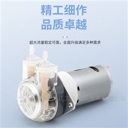 LFP102/DB直流有刷蠕動泵