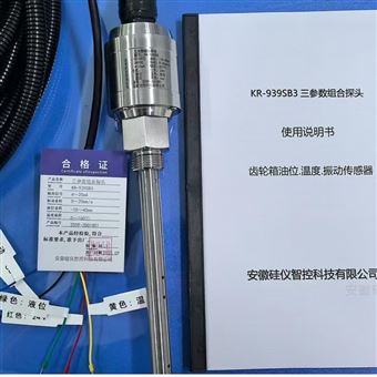 KR-939SB3TD-III三参数组合探头