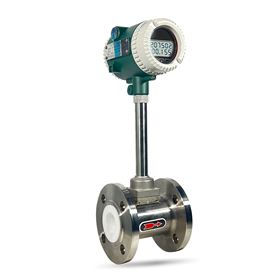 耐腐蝕氣體流量計