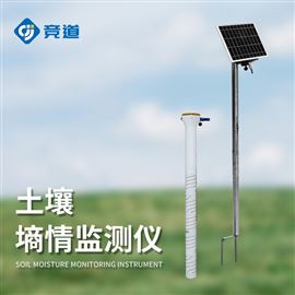 JD-GTS10土壤温度监测仪器