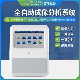 YP-HFG全自动成像分析系统