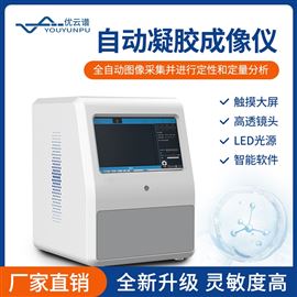 YP-NJ200凝胶成像分析仪