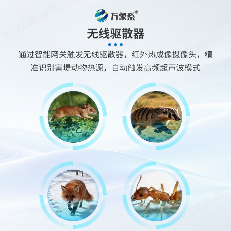 害堤动物AI智能监测仪