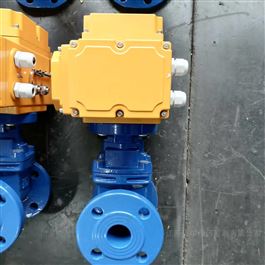 精小型電動(dòng)軟密封閘閥