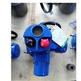 智能一體化部分回轉(zhuǎn)電動(dòng)執(zhí)行器