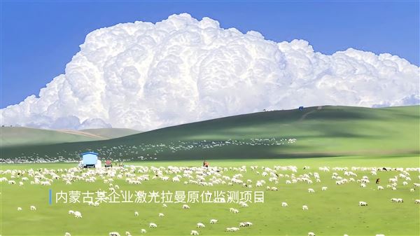 內(nèi)蒙古某企業(yè)激光拉曼原位監(jiān)測(cè)項(xiàng)目