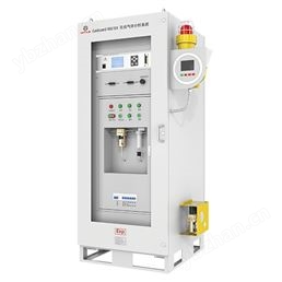 在線氣體分析系統