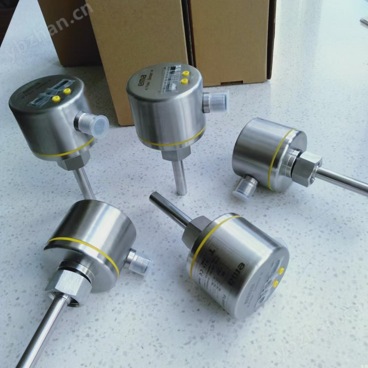 FE32伊玛EMA防爆型卫生流动温度传感器