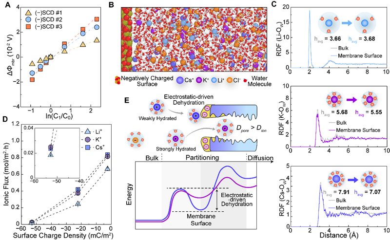 中国科学院生态环境研究中心研究组在高离子选择性膜及其离子分离机制研究方面取得系列进展