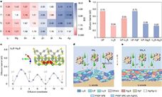 清华大学深圳国际研究生团队合作在固态锂金属电池研究领域取得新进展