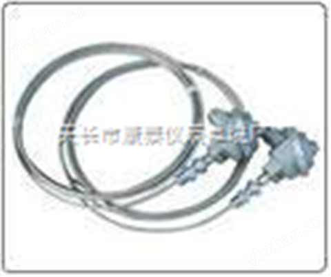 微細(xì)鎧裝熱電偶