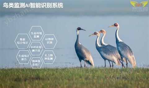 鳥類AI監(jiān)測(cè)識(shí)別管理系統(tǒng)