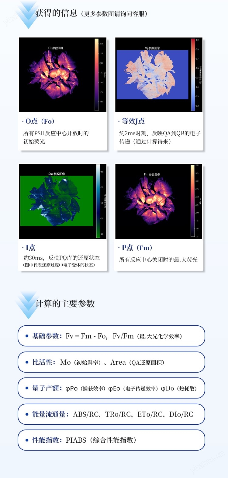 詳情_05.jpg