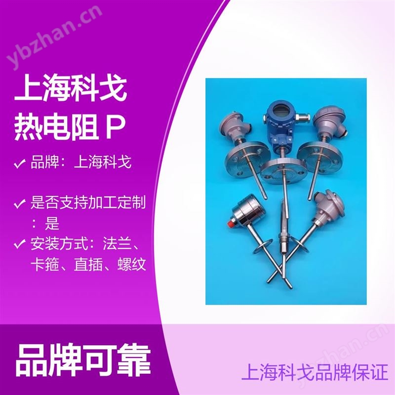 上海科戈 热电阻 PT100 温度传感器