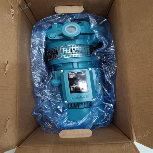 CALPEDA不銹鋼水泵0405101852