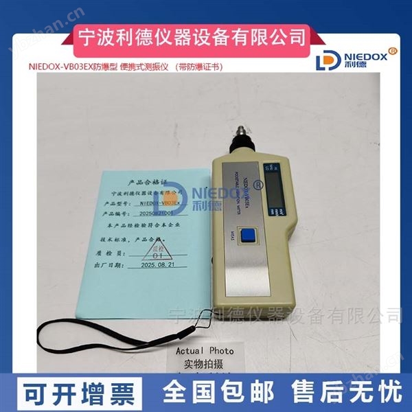 防爆型便携式测振仪 ExibⅡCT4Gb石油化工用