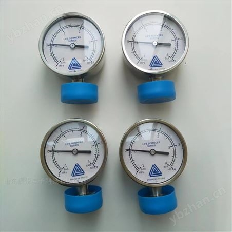 ANDERSON-NEGELE安德森耐格EL系列压力表
