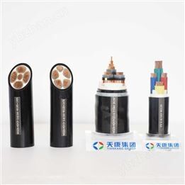 硅橡胶绝缘型电力电缆