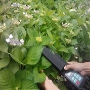 活体叶面积测量仪